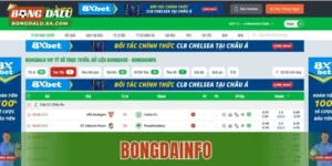 Bongdainfo – Tổng Quan Nền Tảng Thông Tin Sân Cỏ Toàn Diện