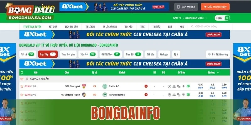 Bongdainfo