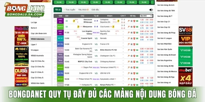 Bongdanet quy tụ đầy đủ các mảng nội dung bóng đá