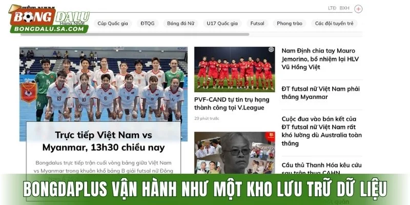 Bongdaplus vận hành như một kho lưu trữ dữ liệu