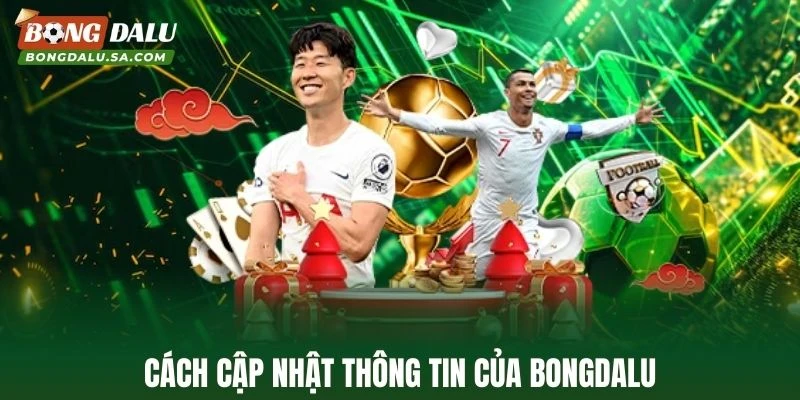 Cách cập nhật thông tin của Bongdalu