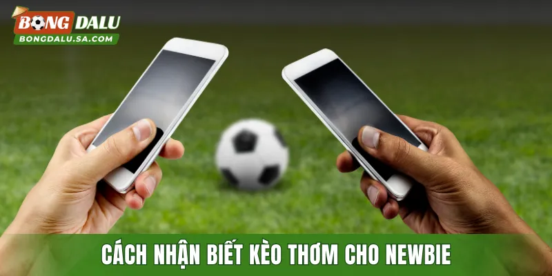Cách nhận biết kèo thơm cho newbie