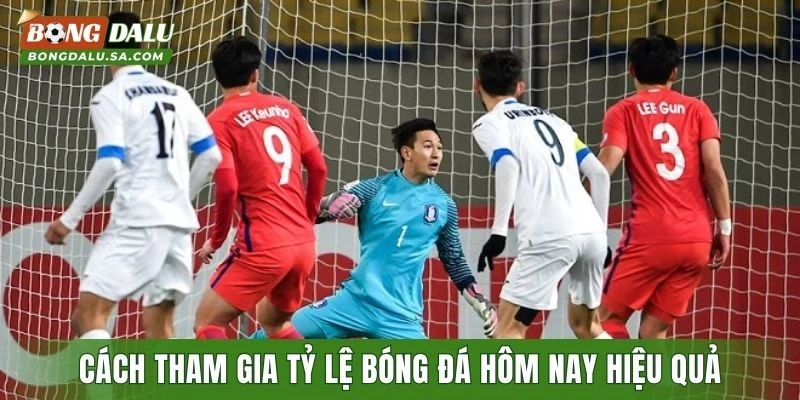 Cách tham gia tỷ lệ bóng đá hôm nay hiệu quả nhất