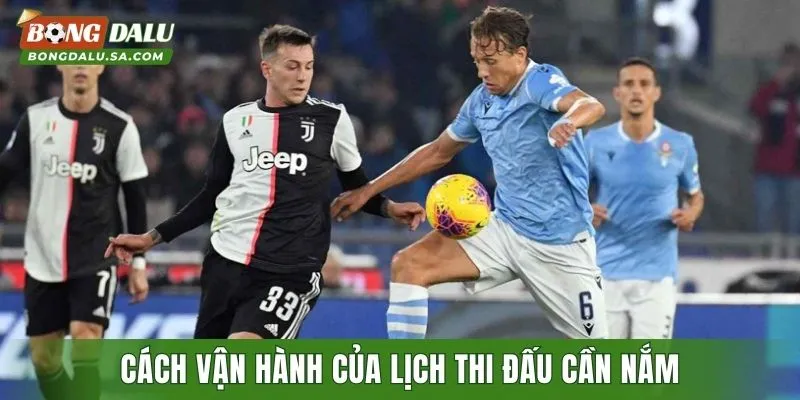 Cách vận hành của lịch thi đấu cần nắm khi tham gia