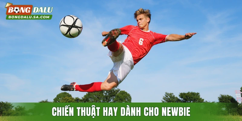 Chiến thuật hay dành cho newbie khi tham gia cược