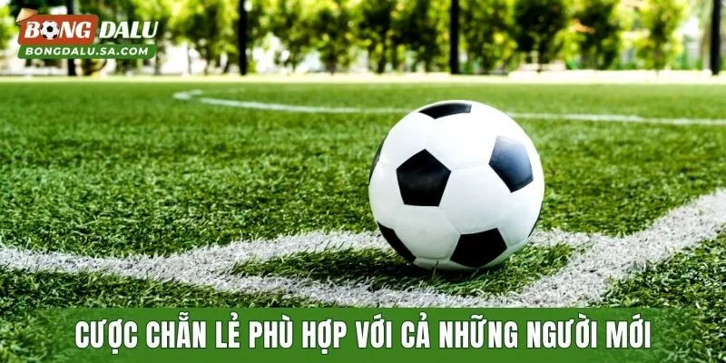 Cược chẵn lẻ phù hợp với cả những người mới tham gia