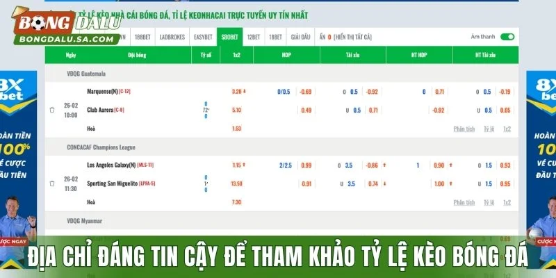 Địa chỉ đáng tin cậy để tham khảo tỷ lệ kèo bóng đá