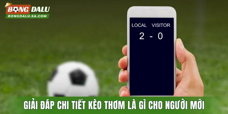Giải đáp chi tiết kèo thơm là gì cho người mới