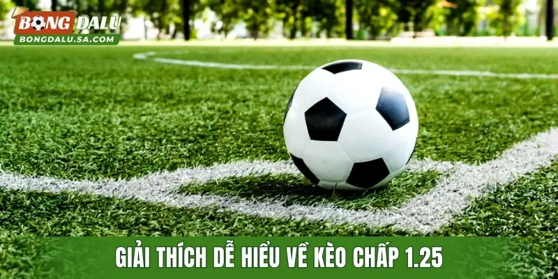 Giải thích dễ hiểu về kèo chấp 1.25