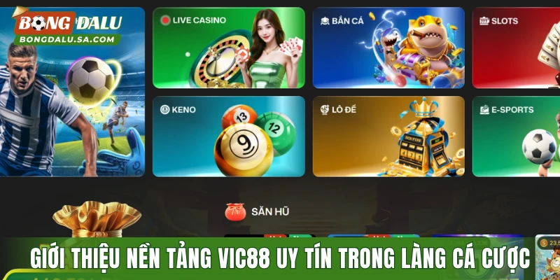 Giới thiệu nền tảng VIC88 uy tín trong làng cá cược