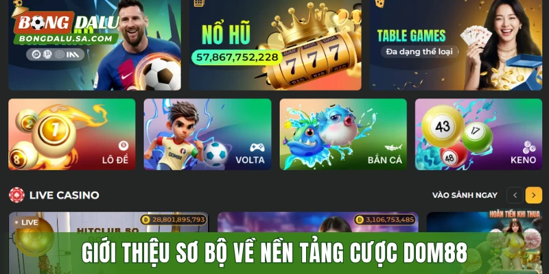 Giới thiệu sơ bộ về nền tảng cược DOM88