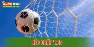 Kèo Chấp 1.25: Khái Niệm Và Hướng Dẫn Cách Chơi Chi Tiết