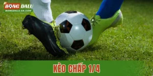 Kèo Chấp 1/4 – Hướng Dẫn Cá Cược Hiệu Quả Cho Newbie