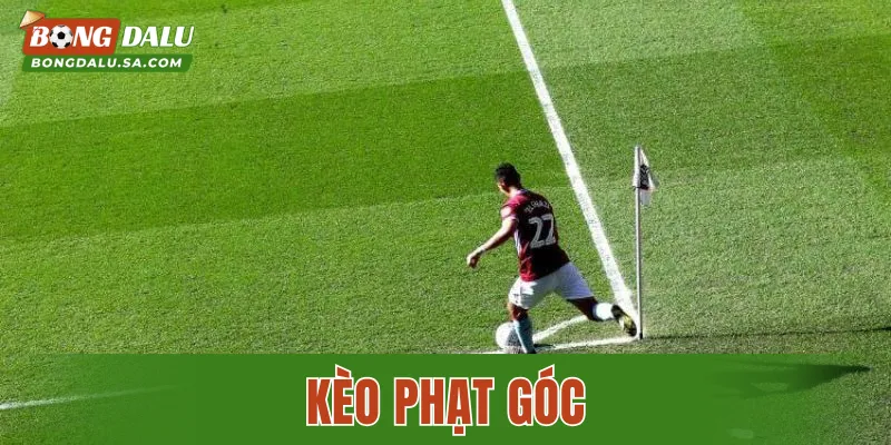 3 Bí Quyết Soi Kèo Phạt Góc Chuẩn Xác Trên Bongdalu