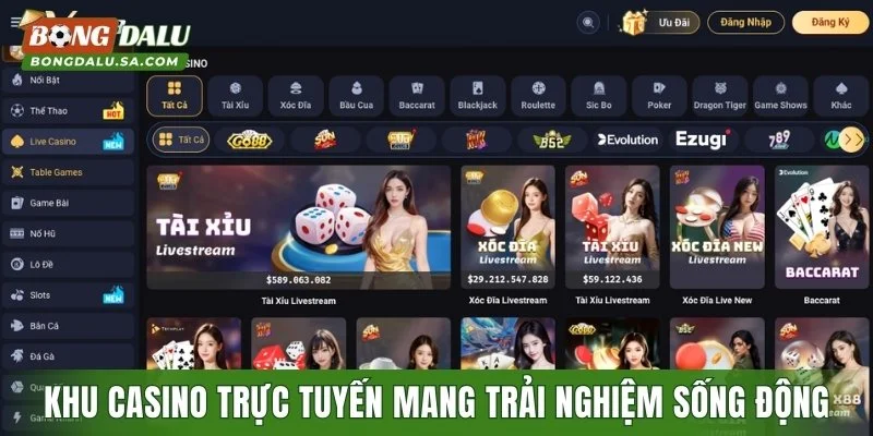 Khu casino trực tuyến mang đến trải nghiệm sống động