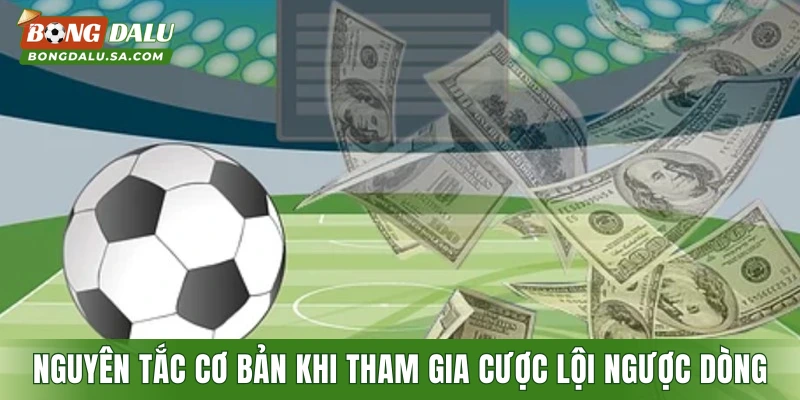 Nguyên tắc cơ bản khi tham gia cược lội ngược dòng