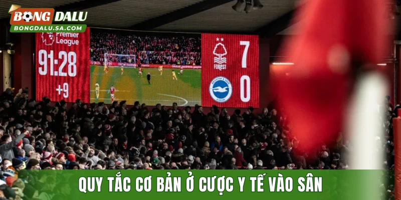 Quy tắc cơ bản ở cược y tế vào sân