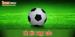 Tài xỉu phạt góc: Bí quyết đọc kèo từ A-Z Cho Newbie