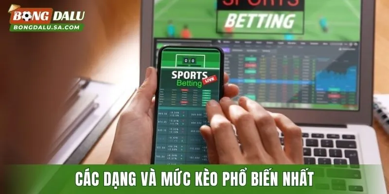 Các dạng và mức kèo phổ biến nhất