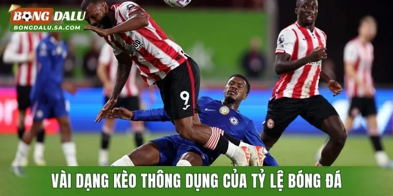 Vài dạng kèo thông dụng của tỷ lệ bóng đá hôm nay